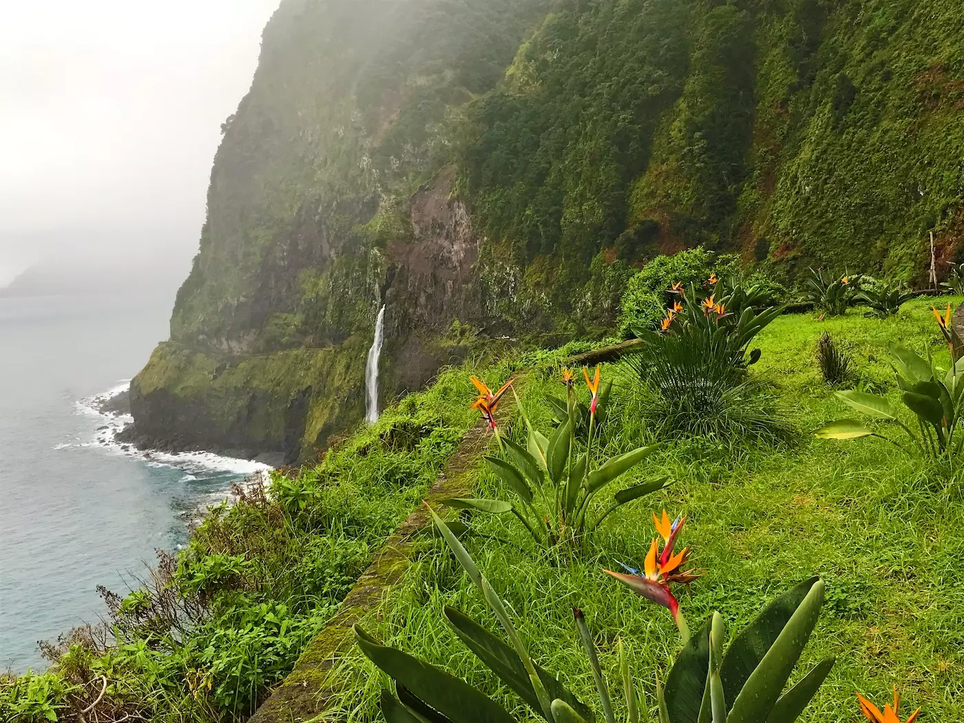 wanderreise_madeira_aussicht_wasserfall_blumen