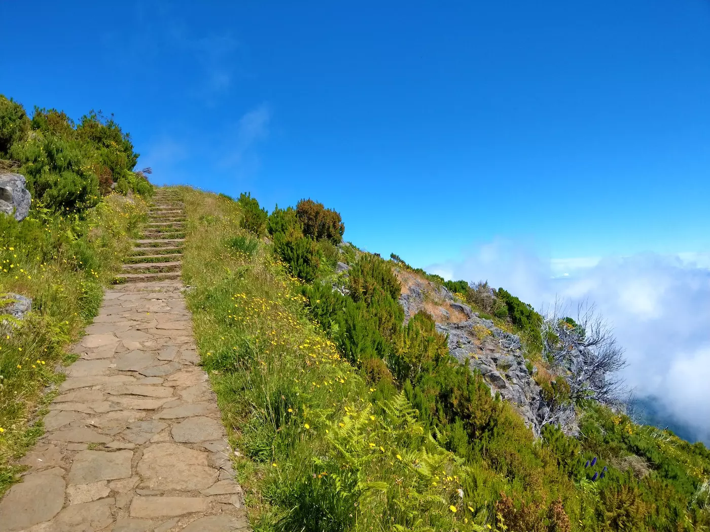 wanderreise_madeira_aussichtsreicher_wanderweg