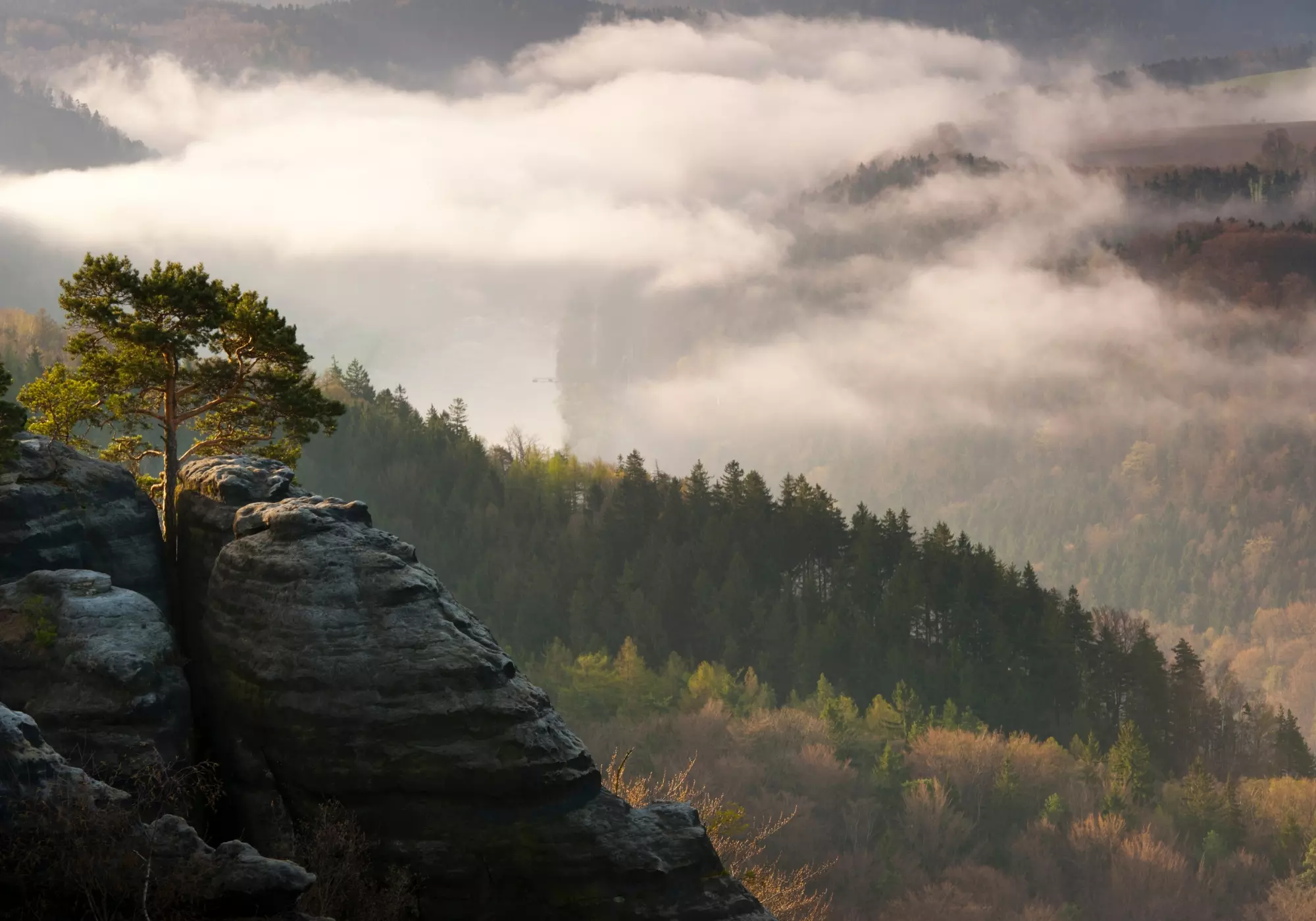 Malerweg_Sächische_Schweiz_Blick_auf_Elbsandsteingebirge_im_Nebel