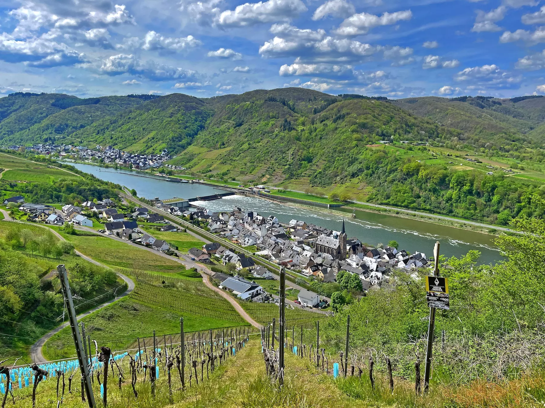 moselsteig_weinberg_talblick