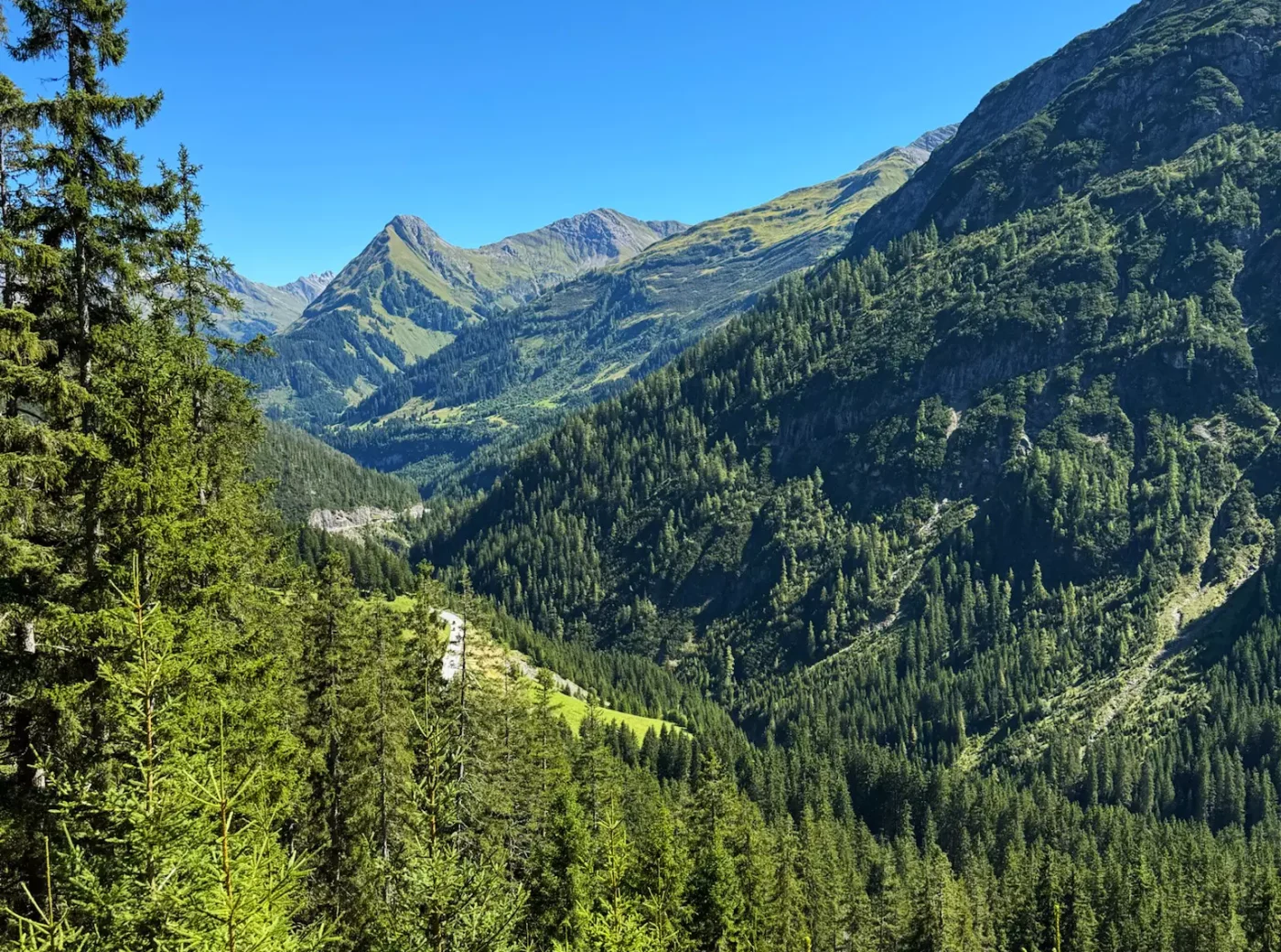 Blick_ins_Lechtal_von_Lechleiten